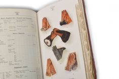 Men's Glove Collection