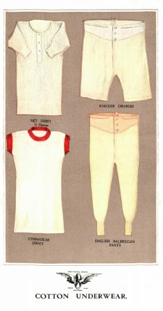 Cotton Underwear 