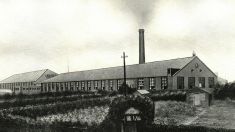 Sutton-in-Ashfield factory